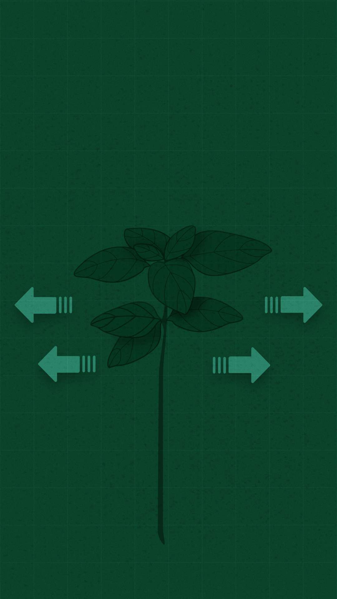 Image de présentation du projet canabis illustrant ce qui se dégage d'une plante.