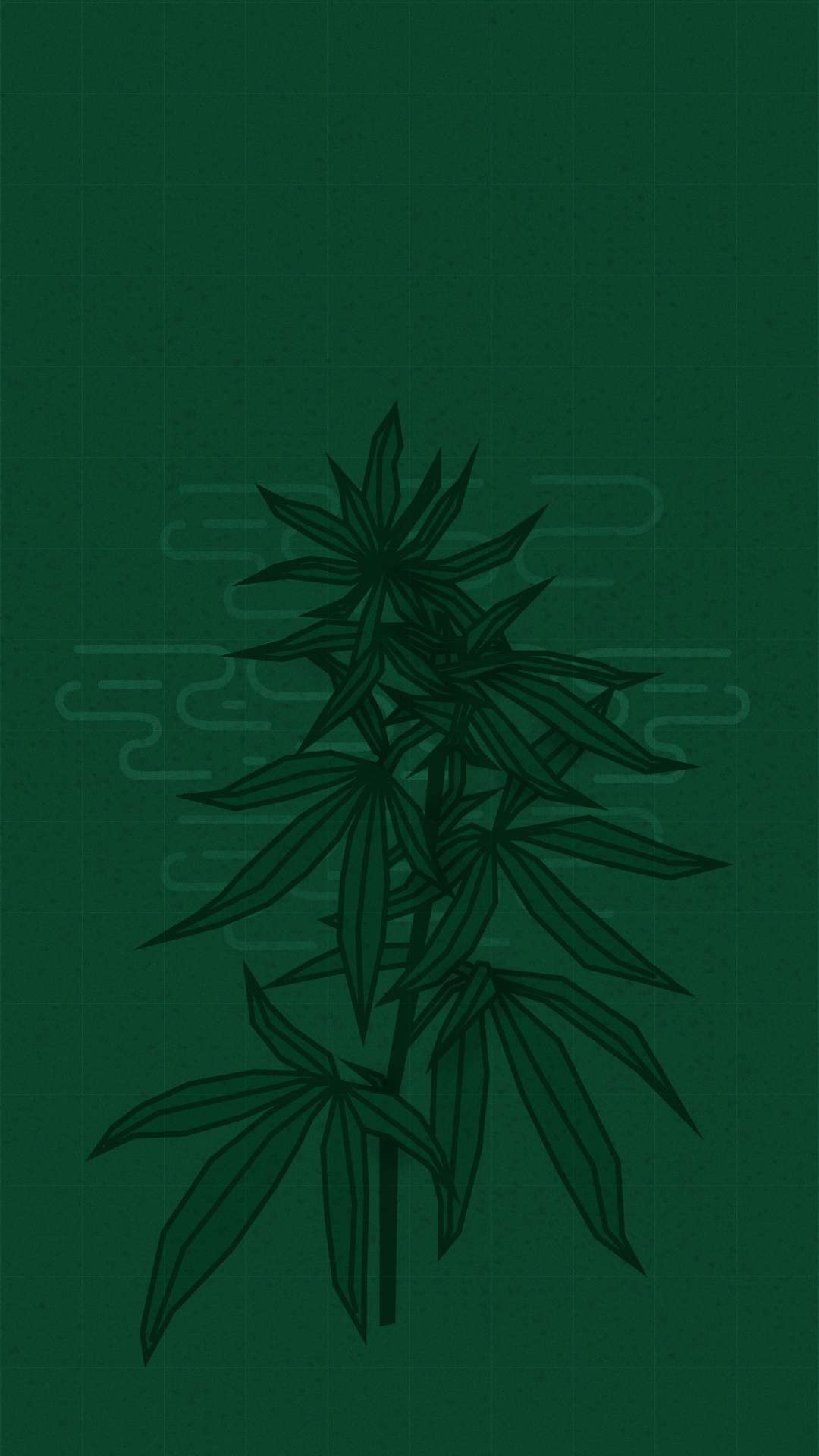 Image de présentation du projet canabis illustrant ce qui se dégage d'un plan de canabis.