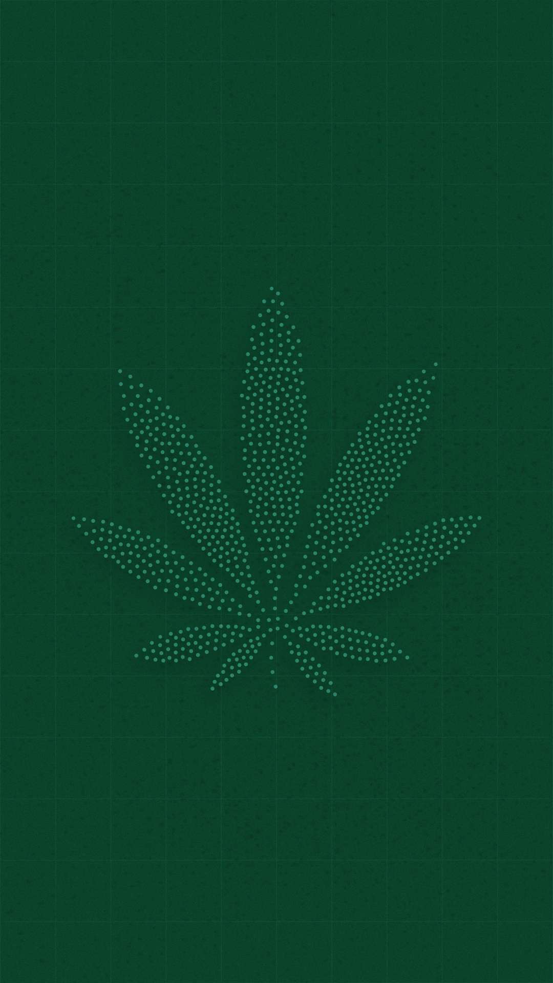 Image de présentation du projet canabis illustrant une feuille de canabis bâti sous formes de particules.