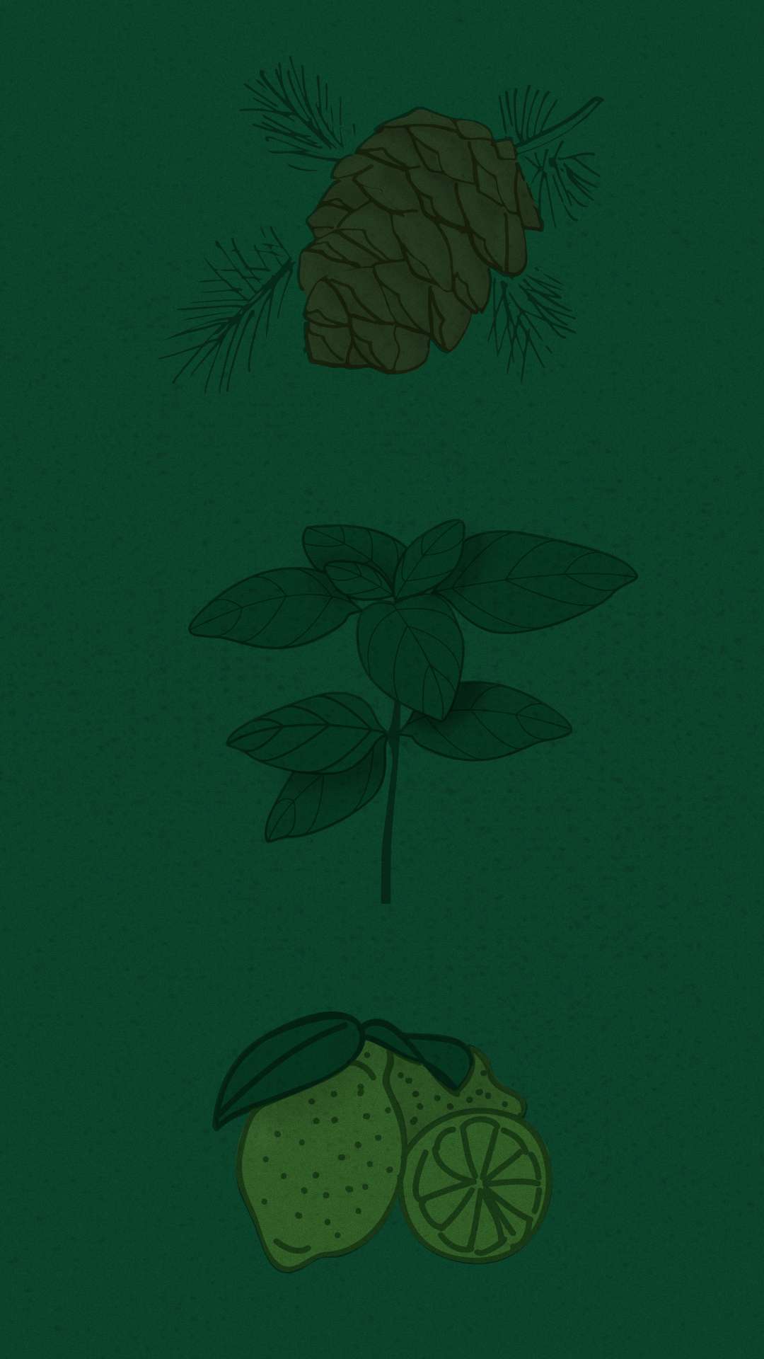 Image de présentation du projet canabis illustrant divers végétaux.